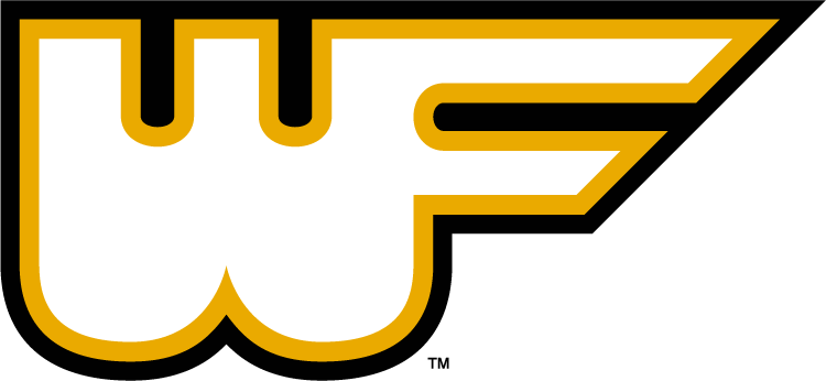 Wake Forest Demon Deacons 1977-1985 Alternate Logo diy DTF decal sticker